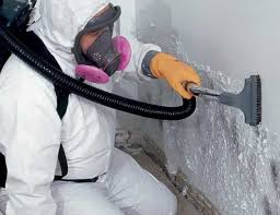 Best Dehumidification Services  in Minonk, IL